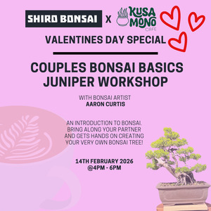 Valentines Day Bonsai Workshop- 14th February 4pm