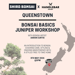 Workshops: Queenstown - Bonsai Basics Juniper Workshop- 8th May
