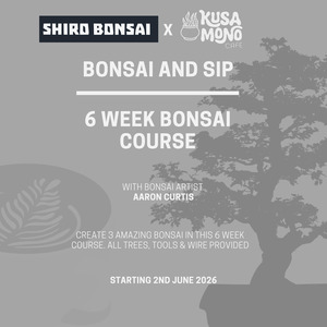 E Courses: 6 Week Bonsai Course - Starting 2nd June 2026