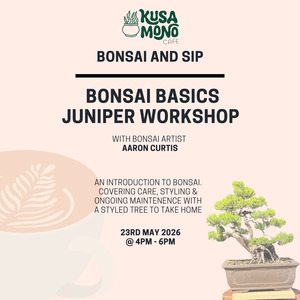 Bonsai Basics Juniper Workshop- 23rd May
