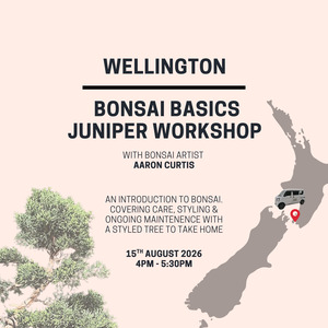 Wellington - Bonsai Basics Juniper Workshop- 15th August @4pm