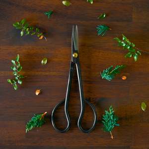 KIKUWA Satsuki Scissors L -Made in Japan
