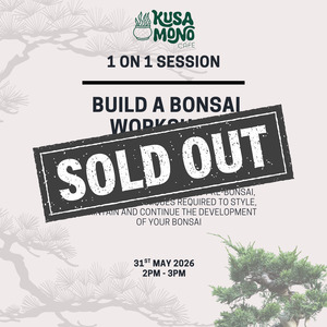 Build A Bonsai Workshop: Build a Bonsai Workshop 31st May @ 2pm
