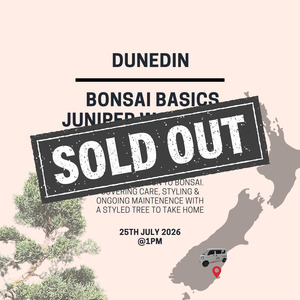 Workshops: Dunedin - Bonsai Basics Juniper Workshop- 25th July