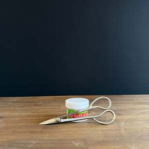 You Might Also Like These: Stainless Steel Satsuki Scissor