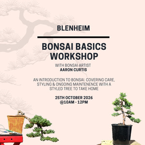 Workshops: BLENHEIM- Bonsai Basics Juniper Workshop- 25th October @10am
