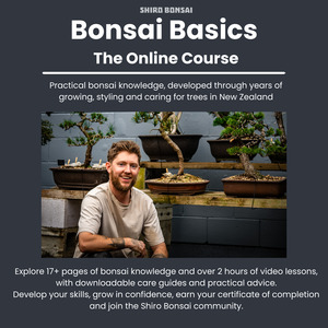 Courses: The Bonsai Basics Online Course