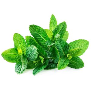 Haze Tobacco Mint 100g