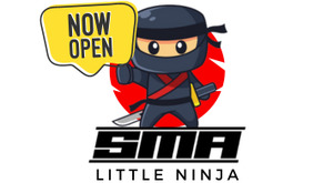 5x Little Ninja Passes
