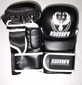 Bags: Pro Sparring Gloves