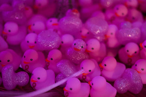 Products: Shocking Pink rubber duckies set of 2. One sparking and one with a pink ribbon Shockingpink