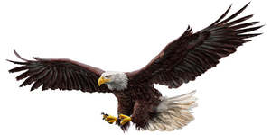 Admin: Clawback $2
