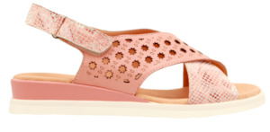 Cassini: CASSINI MOOLI