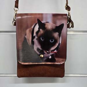 Accessories: IVYS Cat X Body Bag