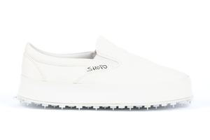 Products: Shoto BESH