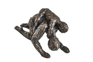 Products: Bucking Bronco