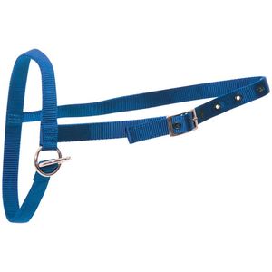 Products: Halter Nylon Calf Leading Blue
