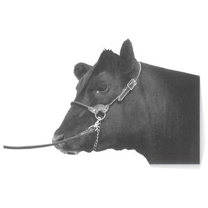 Coburn: Halter Leather Round Strap Calf Black