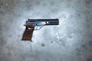 Berretta model 87