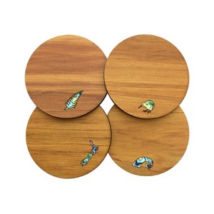 Coasters: Mixed Paua Rimu Coaster Set