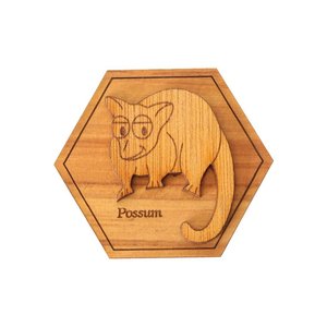 Possum Magnet (WS)