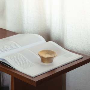 Homeware And Accessories: Luna Paper Weight in Brass