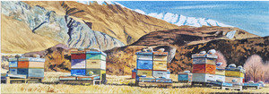 Art And Wall Decor 2: Beehives Matukituki Valley