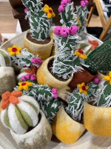 Felt Plant