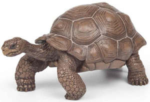 Papo Collection - Galapagos Tortoise