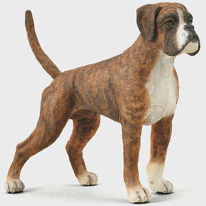 Collect A - Boxer