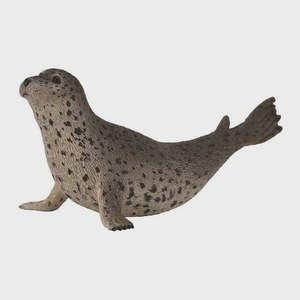 Collectables: Collect A - Spotted Seal