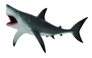 Collect A - Great White Shark