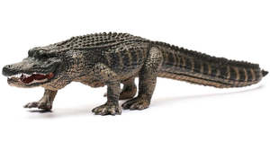 Gifts For Boys: Collect A - American Alligator