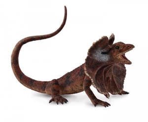Gifts For Boys: Collect A - Frill Necked Lizard