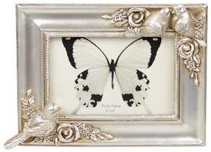 Photo Frames Albums: Dove Photo Frame - Champagne