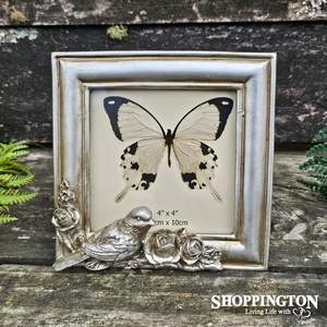 Photo Frames Albums: Photo Frame - Rose Birds Champagne