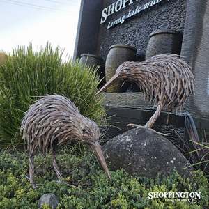Natural Metal Kiwi 50cm