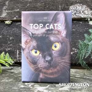 Affirmation Books: Affirmation Boxed Cards - Top Cats