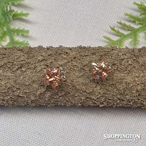 Earrings - Champange Star Studs