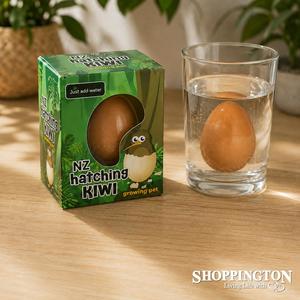 Gifts For Girls: NZ Hatching Kiwi