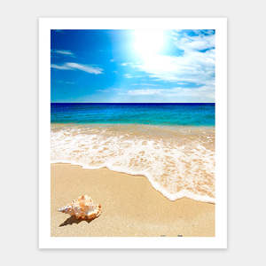 Seashell on the Beach - 500 Piece Jigsaw Puzzle