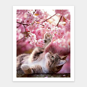 Showpiece 500 Piece Puzzle: Cat among Flowers - 500 Piece Jigsaw Puzzle