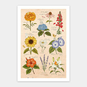 Showpiece 600 Piece Puzzle: Summer Flowers - 600 Piece Jigsaw Puzzle