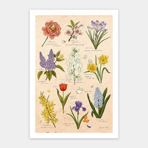 Showpiece 600 Piece Puzzle: Spring Flowers - 600 Piece Jigsaw Puzzle