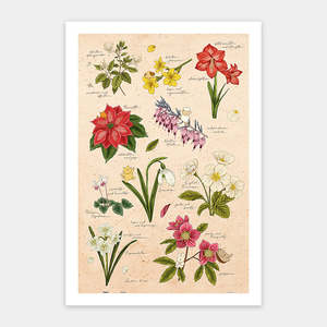 Winter Flowers - 600 Piece Jigsaw Puzzle