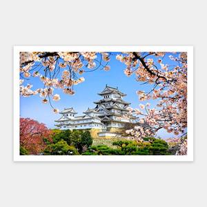 Showpiece 1000 Piece Puzzle: Himeji-jo castle in spring cherry blossoms - 1000 Piece Jigsaw Puzzle