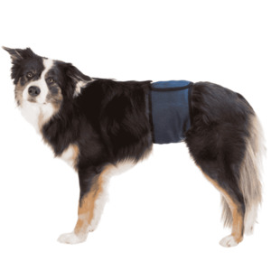 Products: Trixie Male Belly Band ShowThyme