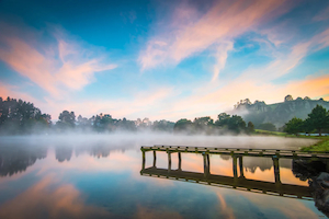 Products: Lake Arapuni - Private Wakeboard Lesson Shreddy NZ