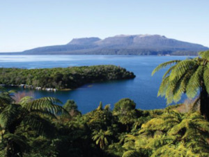 Products: Lake Tarawera Private Wakeboard Lesson Shreddy NZ