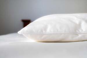 Silk Pillows: Pillows - 100% Mulberry Silk